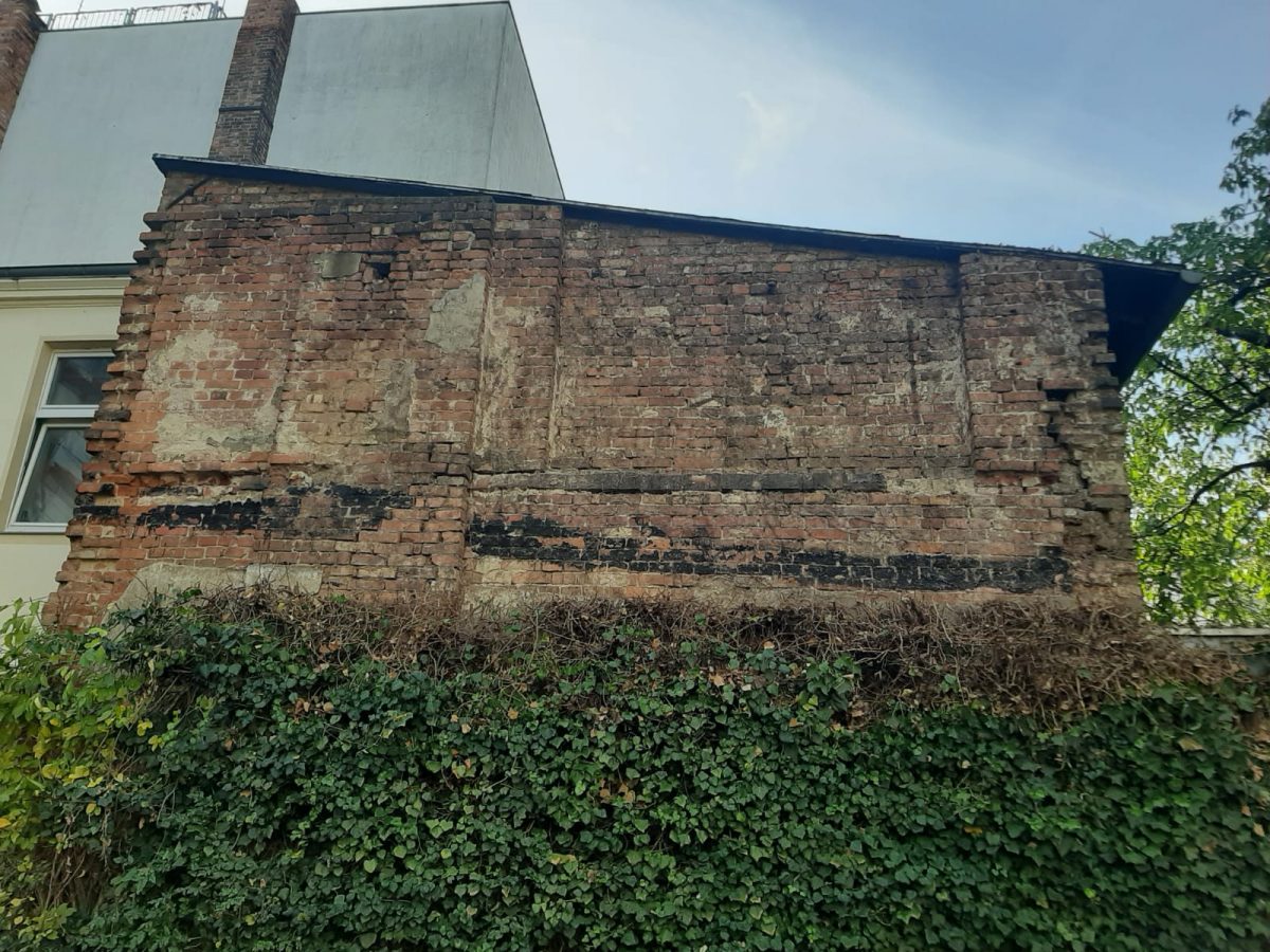Rückschnitt Fassadengrün in Cottbus (nachher)