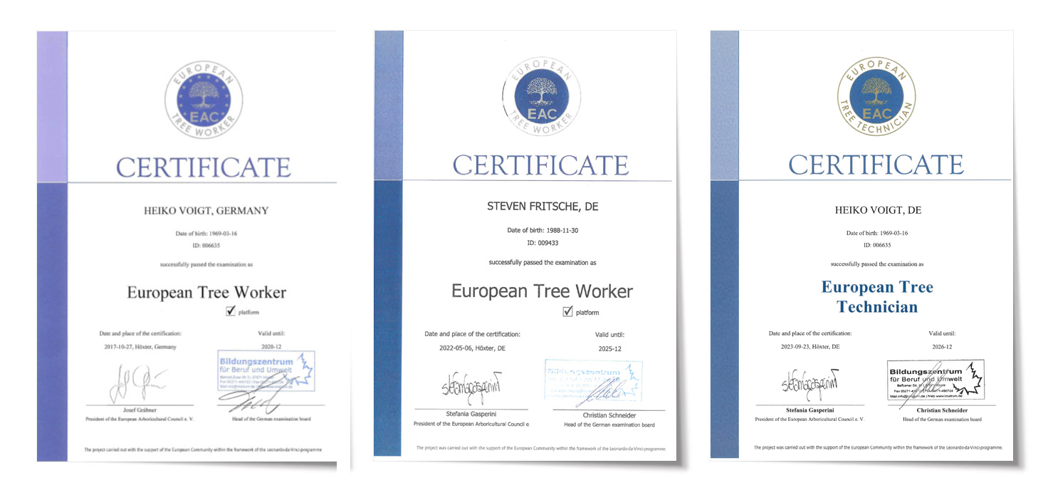European Tree Worker / Technician